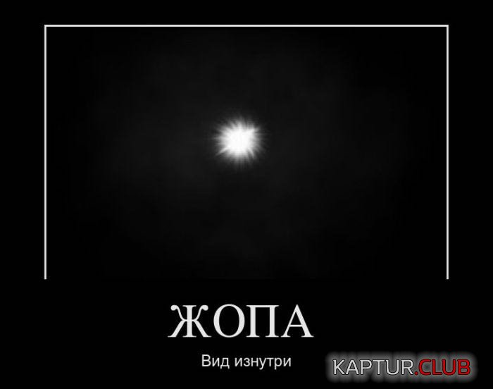 08ed2392-0655-422c-911e-44d5d2337b2f.jpg | Рено Каптур Клуб Россия | Форум KAPTUR.SU