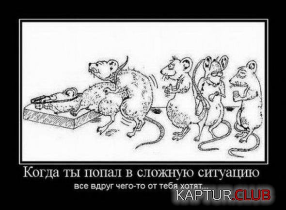 08f1b928e46c2f6c40eee3ad0fc_prev.jpg | Рено Каптур Клуб Россия | Форум KAPTUR.SU