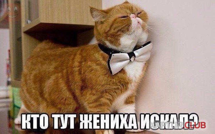 08f9116d32b93c56e3646bb823f.jpg | Рено Каптур Клуб Россия | Форум KAPTUR.SU