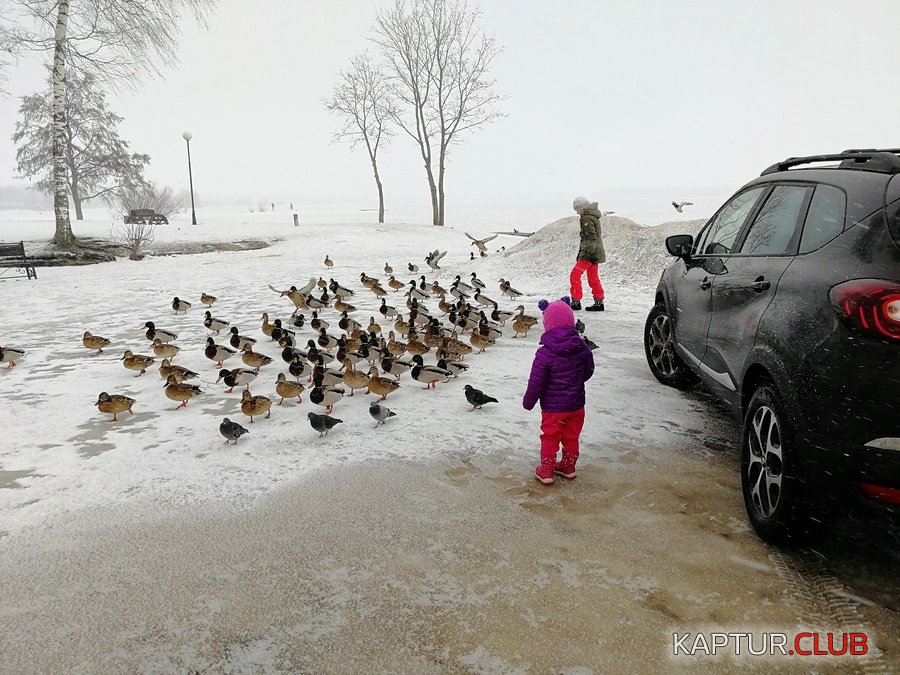 09032019_Valdai.JPG | Рено Каптур Клуб Россия | Форум KAPTUR.SU