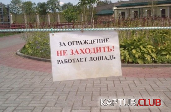 0935efe2a02045431c5dadd6414.jpg | Рено Каптур Клуб Россия | Форум KAPTUR.SU