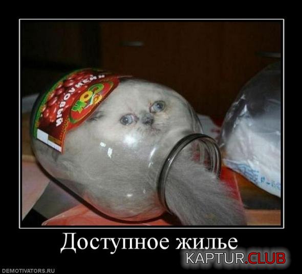 09c4954f8ac3ec83c686717b2e0_prev.jpg | Рено Каптур Клуб Россия | Форум KAPTUR.SU