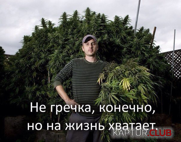 0_8300da_1317739f_orig.jpg | Рено Каптур Клуб Россия | Форум KAPTUR.SU