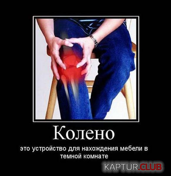 0a31300365c7af63ecf7f78c238.jpg | Рено Каптур Клуб Россия | Форум KAPTUR.SU