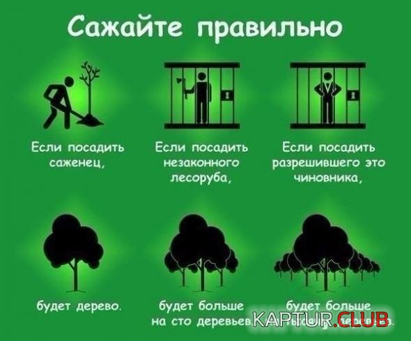 0ac5fa7cbb843157e925e1dea64_prev.jpg | Рено Каптур Клуб Россия | Форум KAPTUR.SU