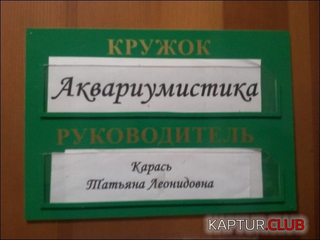 0b10a135fe312f5b676c6e082ac.jpg | Рено Каптур Клуб Россия | Форум KAPTUR.SU