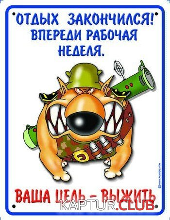0b3b8caccc8d6cc109f592dd6e385723_full.jpg | Рено Каптур Клуб Россия | Форум KAPTUR.SU