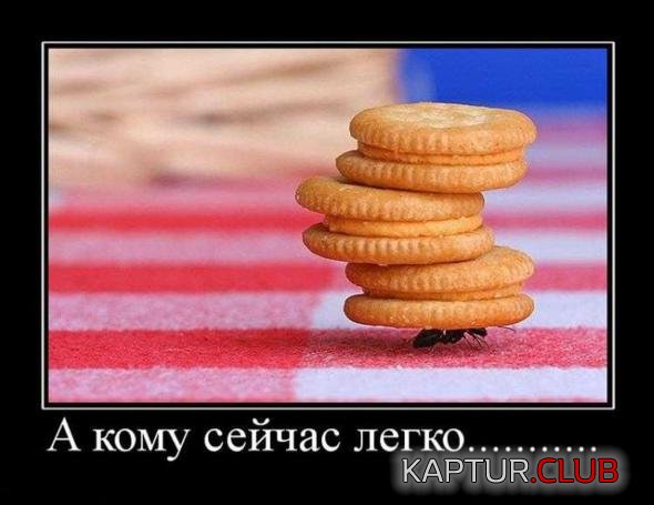 0c7ff4b07dce6229d72d712aa73_prev.jpg | Рено Каптур Клуб Россия | Форум KAPTUR.SU