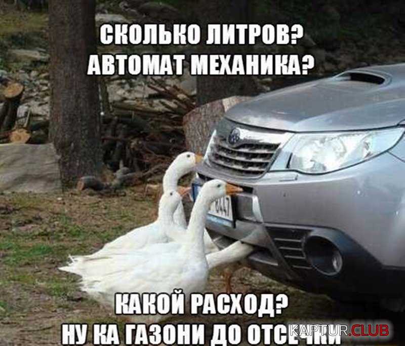 0d3f84f46104c9335e7ccecebfc.jpg | Рено Каптур Клуб Россия | Форум KAPTUR.SU