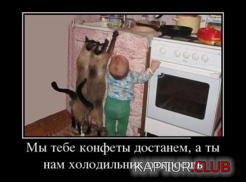 0d4764ba429a8017a2ef9b64061.jpg | Рено Каптур Клуб Россия | Форум KAPTUR.SU
