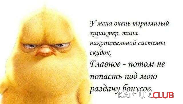 0d58c8af2cf8d3386359141020e.jpg | Рено Каптур Клуб Россия | Форум KAPTUR.SU