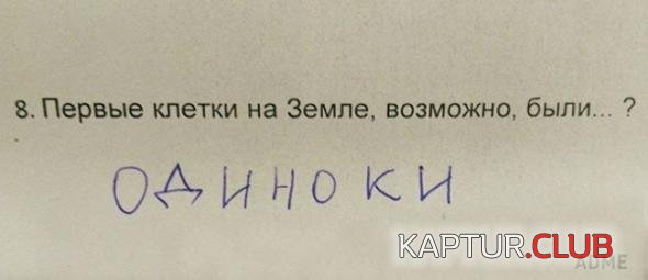 0ddb57c8209556ed930c8336288_prev.jpg | Рено Каптур Клуб Россия | Форум KAPTUR.SU
