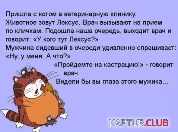 0e312c02eb359904da3f38724da_prev.jpg | Рено Каптур Клуб Россия | Форум KAPTUR.SU