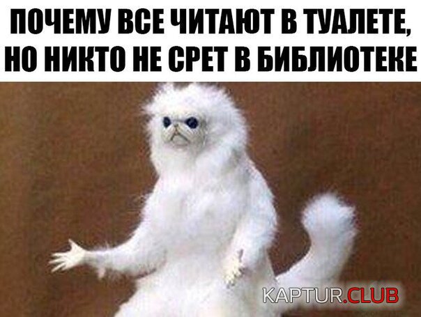0e68213b7d905072f24aea9d8aa.jpg | Рено Каптур Клуб Россия | Форум KAPTUR.SU