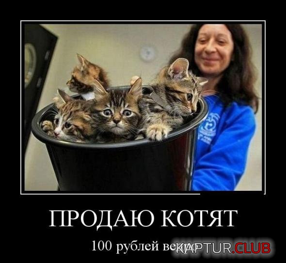 0e6d16d40d5c312534a31ed4274_prev.jpg | Рено Каптур Клуб Россия | Форум KAPTUR.SU