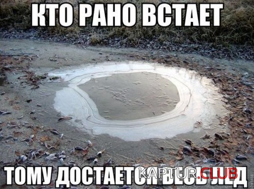 0ed339974bf358215d0ee3cdc45.jpg | Рено Каптур Клуб Россия | Форум KAPTUR.SU