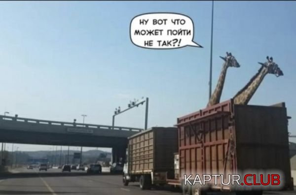 0efae00d59d06bb9a4a3e814c04.jpg | Рено Каптур Клуб Россия | Форум KAPTUR.SU