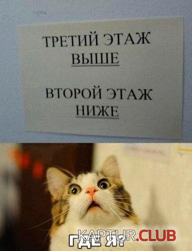 0f623896a70b330f79371e0e759.jpg | Рено Каптур Клуб Россия | Форум KAPTUR.SU