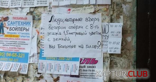 0f92ee5908cf66bb295a0150be2_prev.jpg | Рено Каптур Клуб Россия | Форум KAPTUR.SU