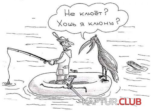 1.jpg | Рено Каптур Клуб Россия | Форум KAPTUR.SU