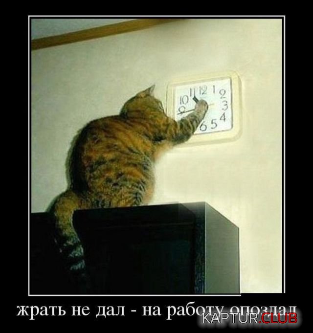1.jpg | Рено Каптур Клуб Россия | Форум KAPTUR.SU