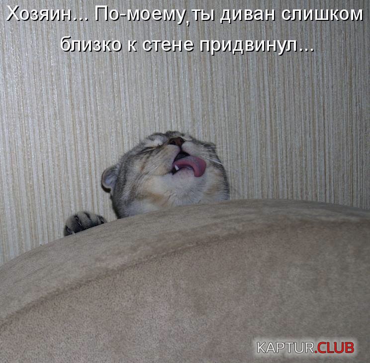 1.jpg | Рено Каптур Клуб Россия | Форум KAPTUR.SU