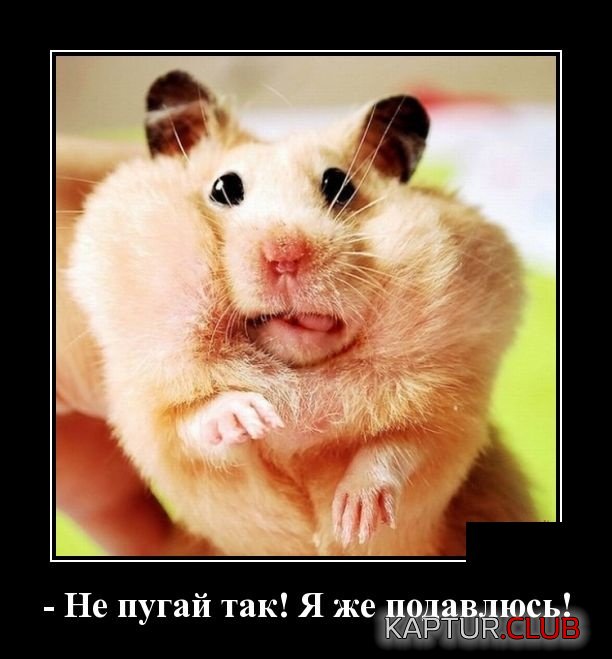 1.jpg | Рено Каптур Клуб Россия | Форум KAPTUR.SU