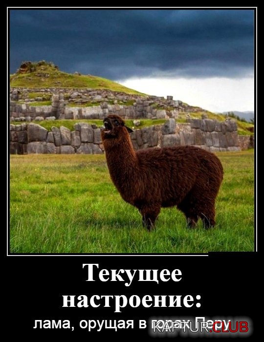1.jpg | Рено Каптур Клуб Россия | Форум KAPTUR.SU