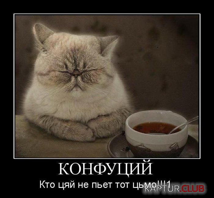 1.jpg | Рено Каптур Клуб Россия | Форум KAPTUR.SU