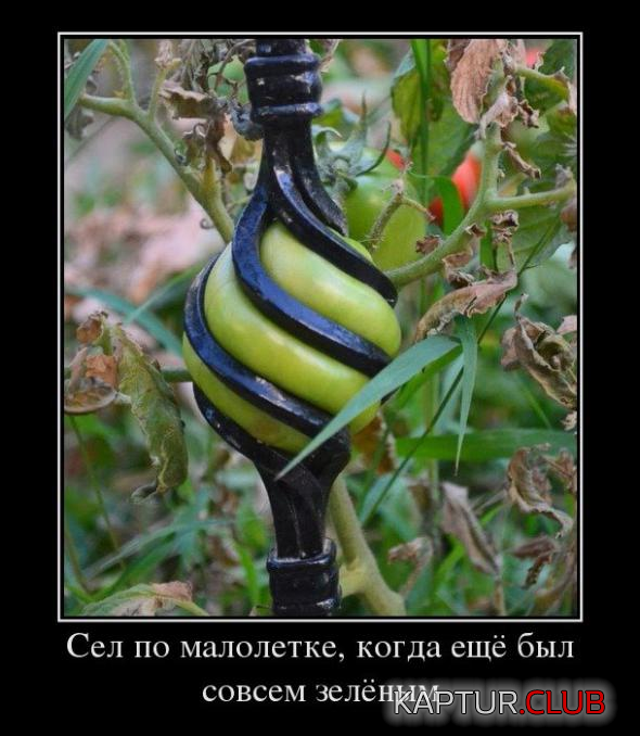 1.png | Рено Каптур Клуб Россия | Форум KAPTUR.SU