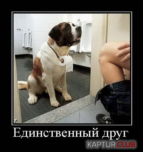 1.png | Рено Каптур Клуб Россия | Форум KAPTUR.SU