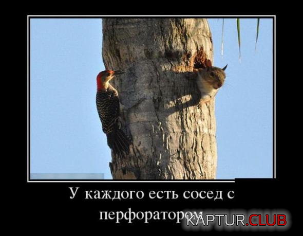 1.png | Рено Каптур Клуб Россия | Форум KAPTUR.SU