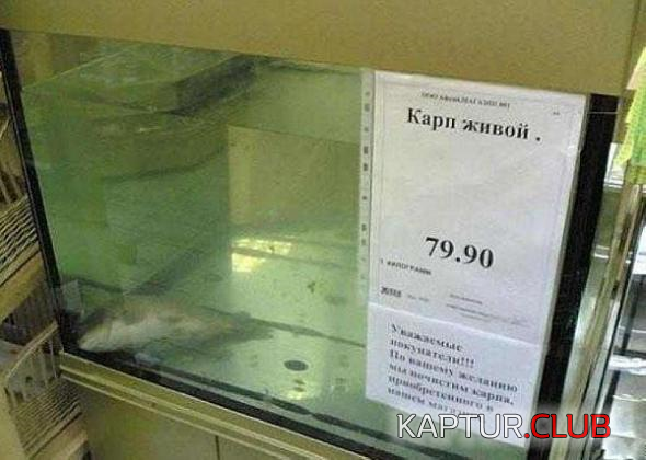 1.png | Рено Каптур Клуб Россия | Форум KAPTUR.SU