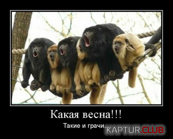 1.png | Рено Каптур Клуб Россия | Форум KAPTUR.SU