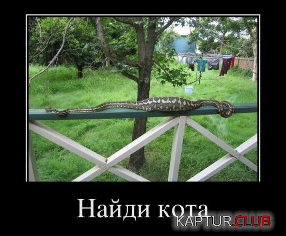 1.png | Рено Каптур Клуб Россия | Форум KAPTUR.SU