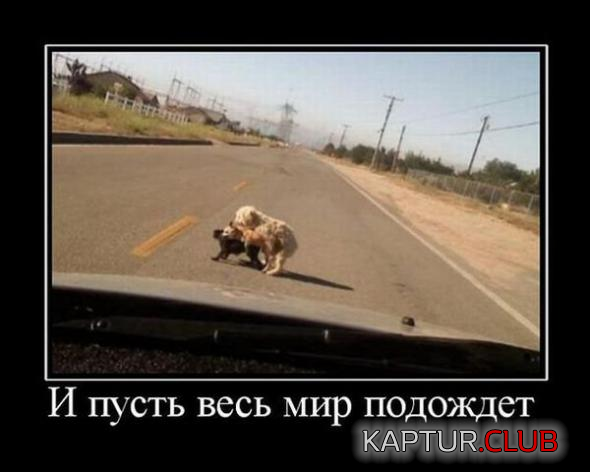 1.png | Рено Каптур Клуб Россия | Форум KAPTUR.SU
