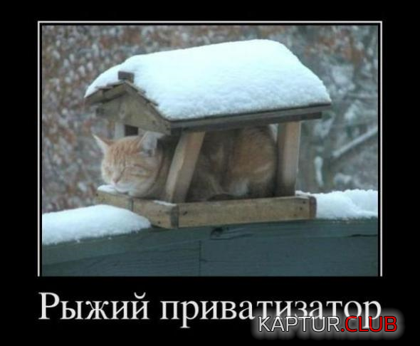 1.png | Рено Каптур Клуб Россия | Форум KAPTUR.SU