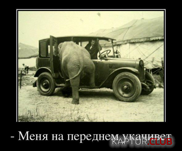 1.png | Рено Каптур Клуб Россия | Форум KAPTUR.SU
