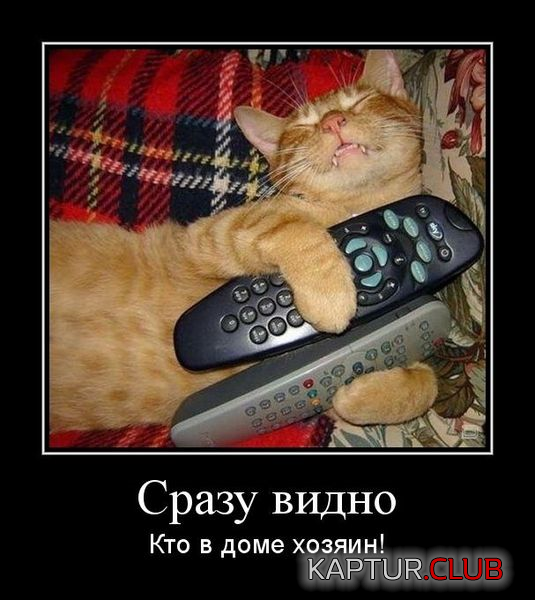 1.png | Рено Каптур Клуб Россия | Форум KAPTUR.SU