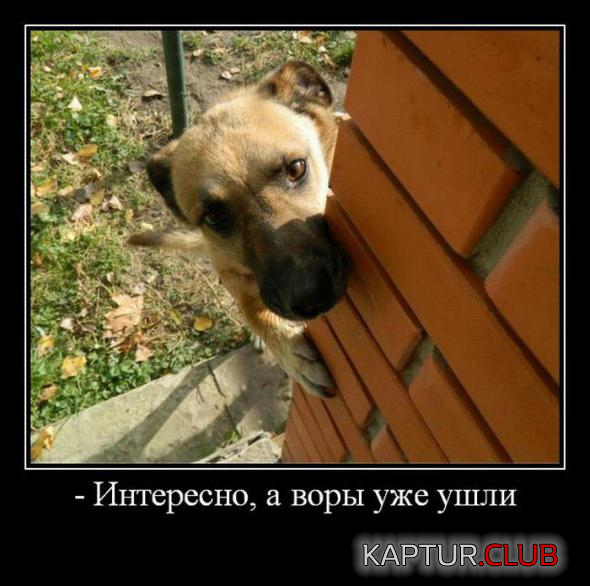 1.png | Рено Каптур Клуб Россия | Форум KAPTUR.SU
