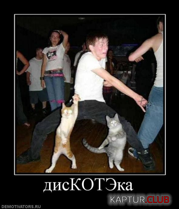 1.png | Рено Каптур Клуб Россия | Форум KAPTUR.SU