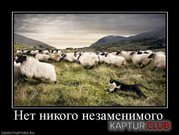 1.png | Рено Каптур Клуб Россия | Форум KAPTUR.SU