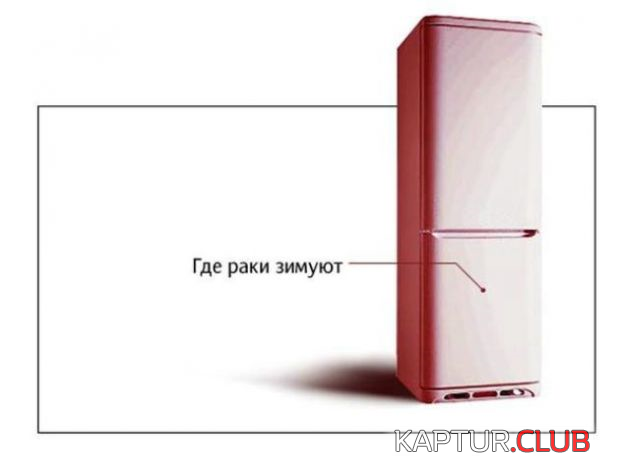 1.png | Рено Каптур Клуб Россия | Форум KAPTUR.SU