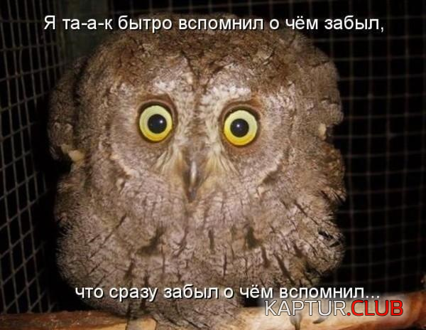 1.png | Рено Каптур Клуб Россия | Форум KAPTUR.SU