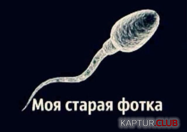 1.png | Рено Каптур Клуб Россия | Форум KAPTUR.SU