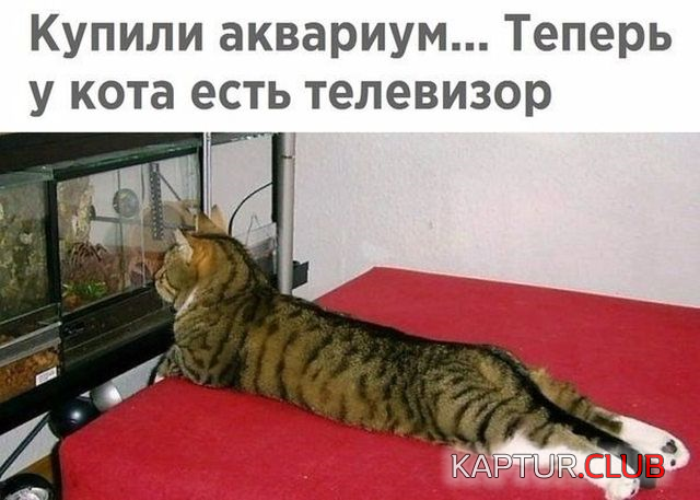 1.png | Рено Каптур Клуб Россия | Форум KAPTUR.SU