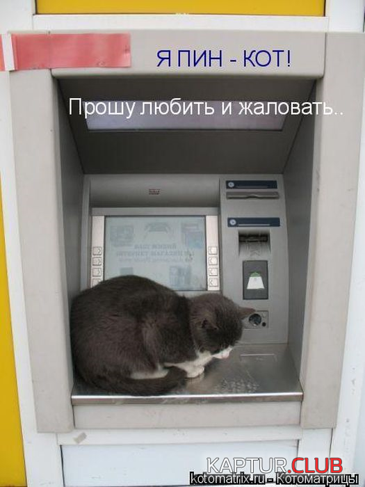 1.png | Рено Каптур Клуб Россия | Форум KAPTUR.SU