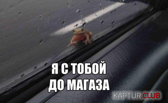 1.png | Рено Каптур Клуб Россия | Форум KAPTUR.SU