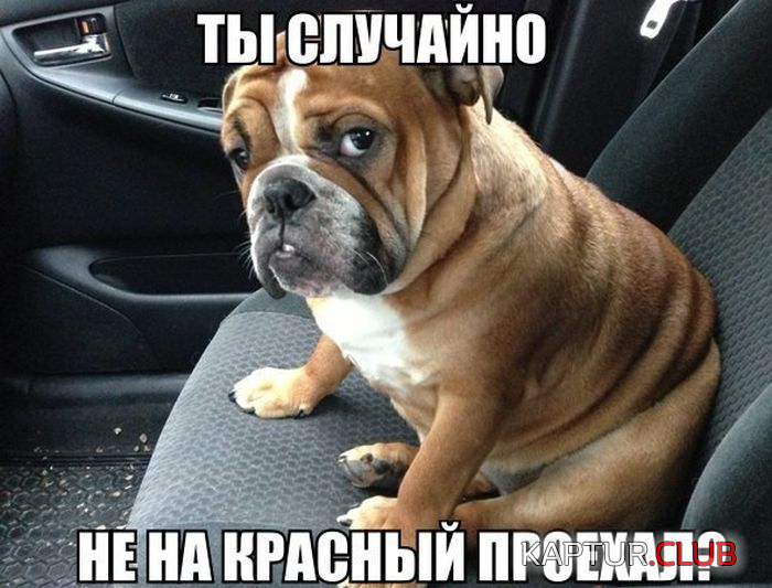 1.png | Рено Каптур Клуб Россия | Форум KAPTUR.SU