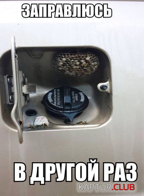 1.png | Рено Каптур Клуб Россия | Форум KAPTUR.SU